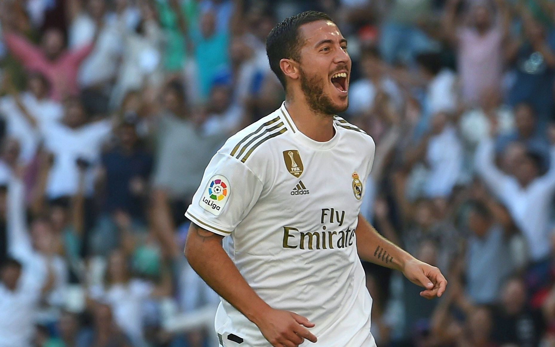 郑佳乐-初级工程师